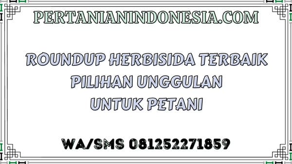 Roundup Herbisida Terbaik Pilihan Unggulan Untuk Petani